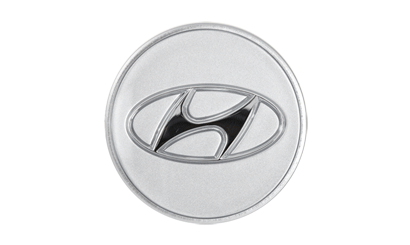 Hub Cap3